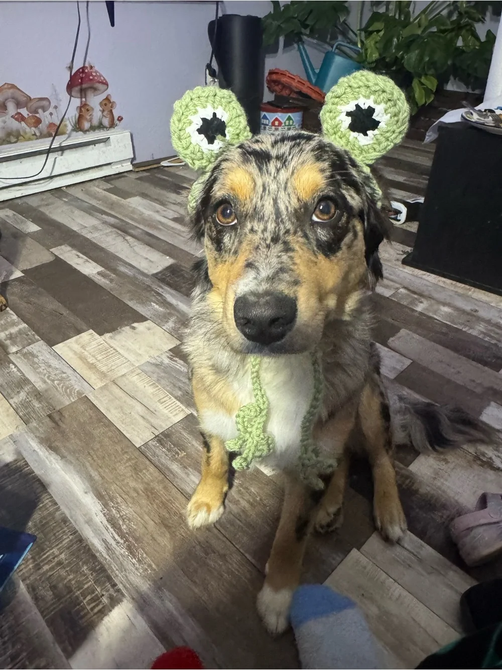 Handmade Light Green Crochet Dog Hat - Cute Ear Accessory